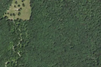 Longbeard Camp