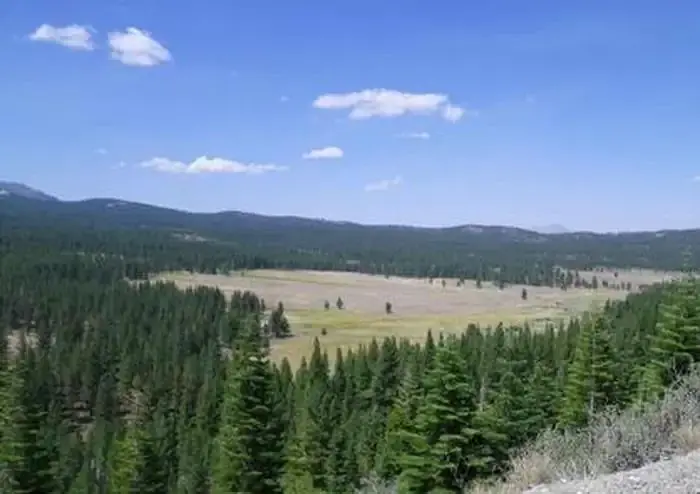 Lookout Campground