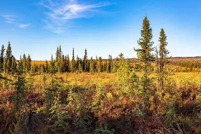 Fall tundra colors by Ophir Creek