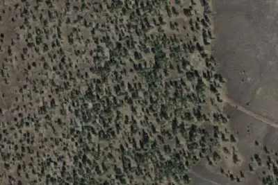 Camp site