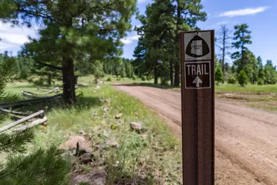 Arizona Trail- Anderson Mesa AZT-30 (36864087326)