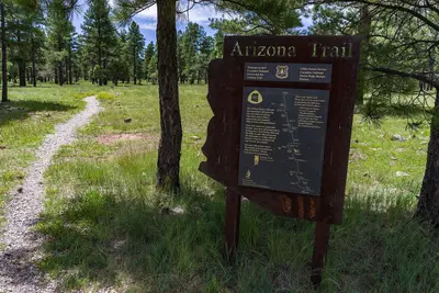 Arizona Trail- Anderson Mesa AZT-30 (36244563823)