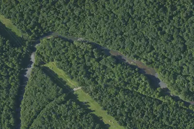 Camp site