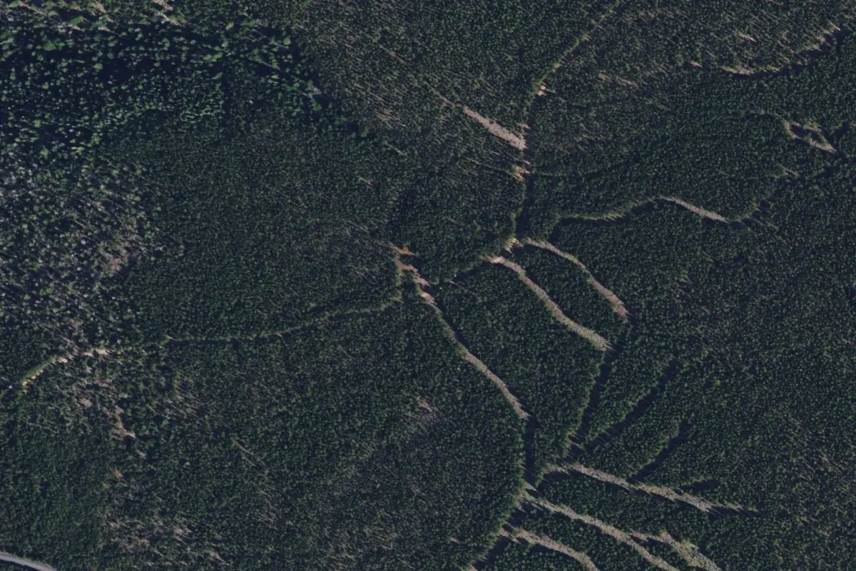Aerial view