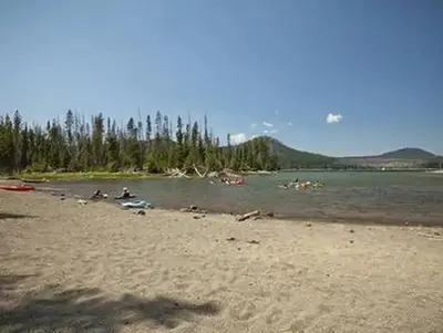 Little fawn group camp