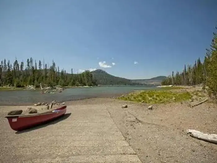 Little fawn group camp