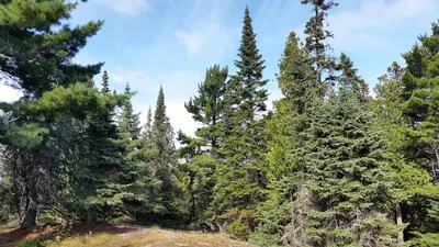 Trail to Shovel Point