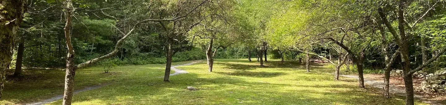 Moosalamoo paths and recreation space