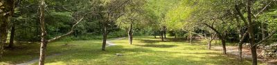 Moosalamoo Campground