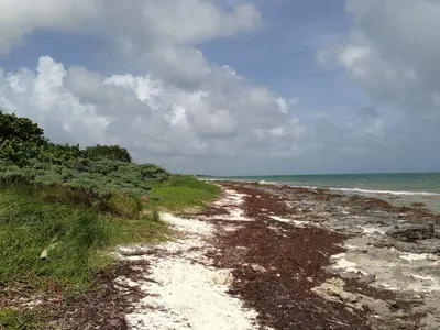 Rocky Coast - panoramio (3)