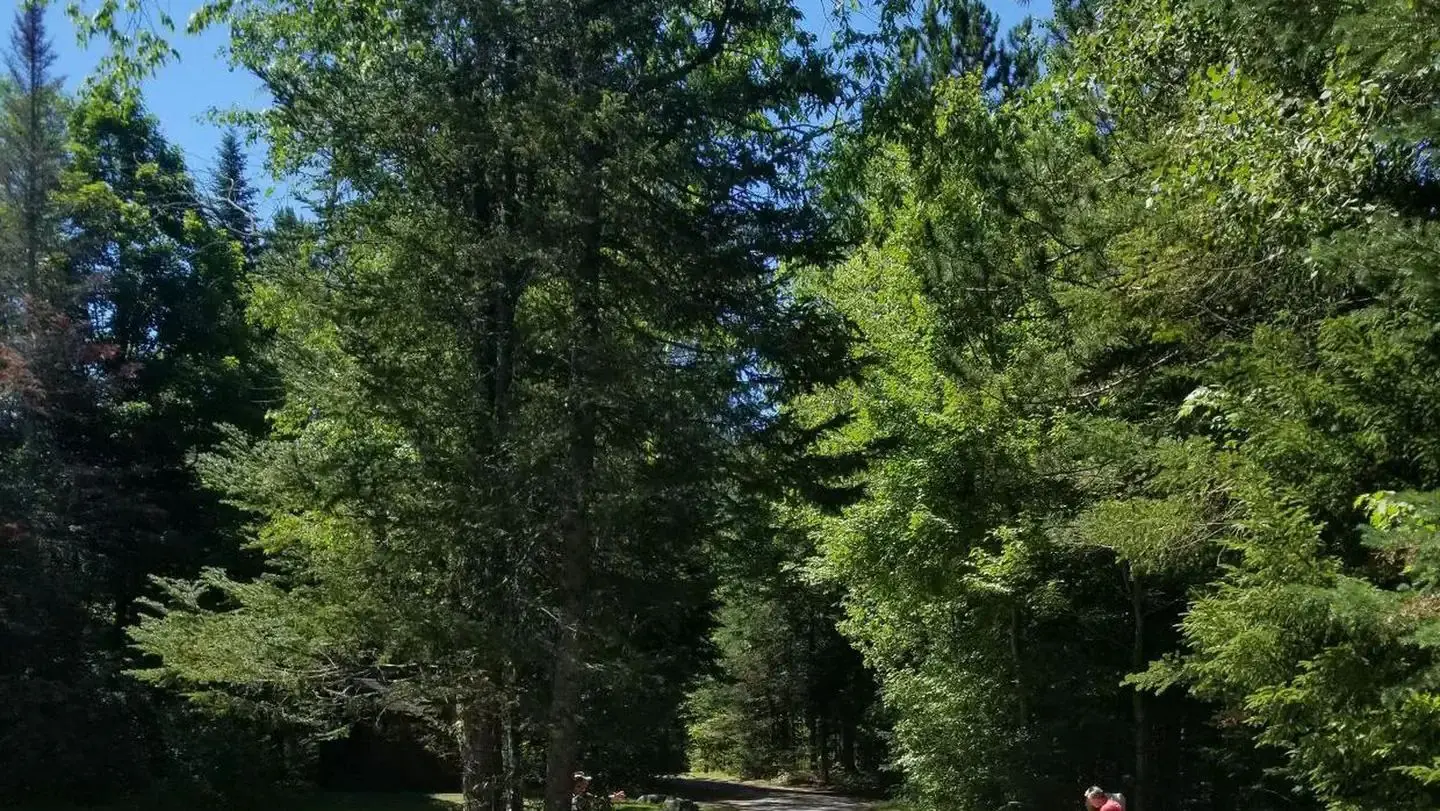 Sugarloaf 2