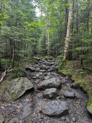 A muddy rocky Avalanche Pass Trail Adirondack Park NY 2024-07-13 13-38-45 1 MP