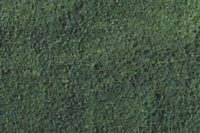 Camp site