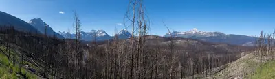 2025-06-09-174641 CAN Alberta Western Alberta (Jasper) 1248.3-Pano