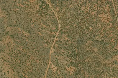 U.S. Fish and Wildlife Service Site 31
