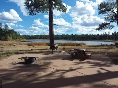 Paved campground with view of the lake and a stand up grill with picnic table and fire ring