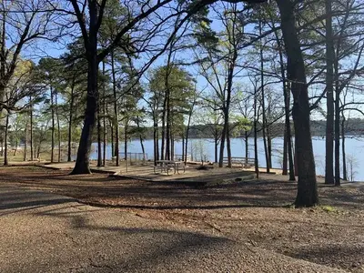 Tent area 2