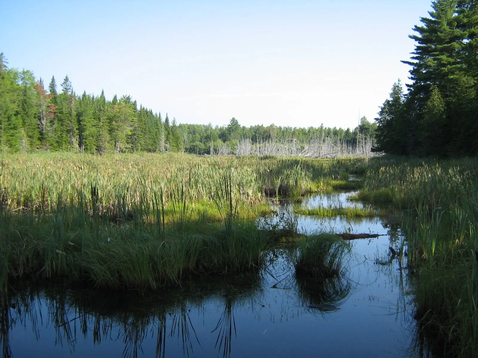 Photo of Mactaquac Provincial Park