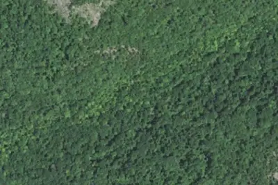 Camp site