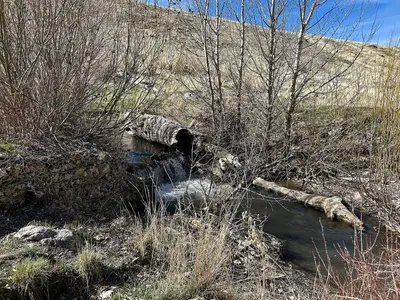 Reinforced Waterfall (55184956662)