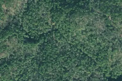 Camp site