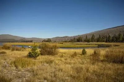 East Davis Campground