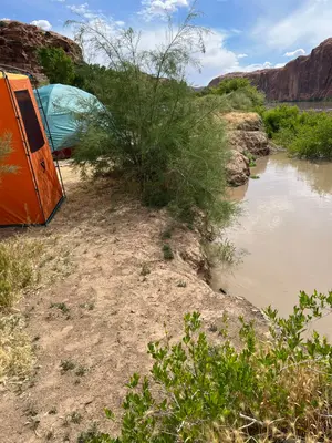 Colorado River May 2023 (52908083659)