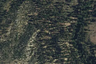 Camp site