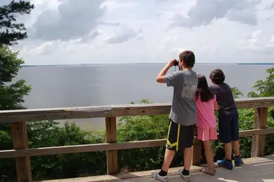 Bird Watchers!