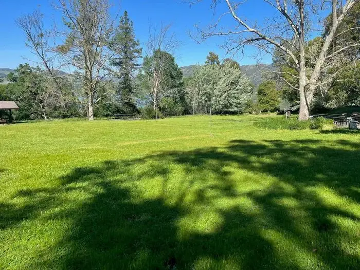 Grass lawn