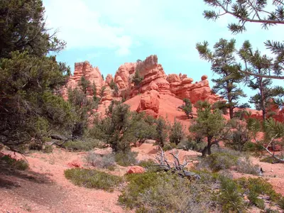 Red Canyon, UT 8-2009 (5877503973)