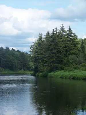 Along Moose River by Remsen Falls