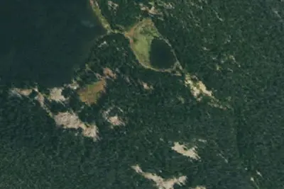U.S. Forest Service Site 8