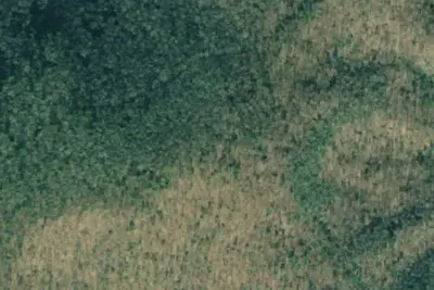 Camp site