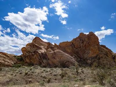 Gold Butte National Monument - 50509917533