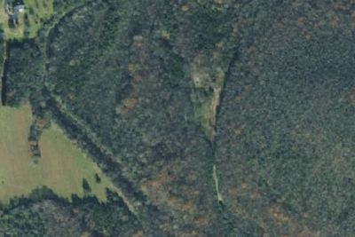 Camp site