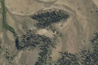 Camp site