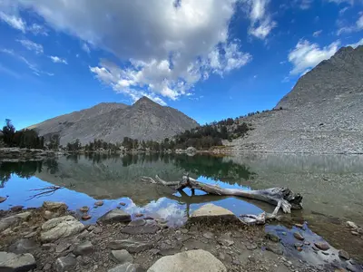 Inyo NF 2024 (20221008-RockCreekInyo-LC-002)