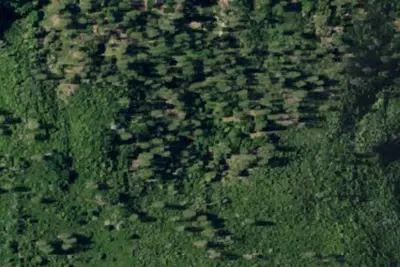 Divide Camp