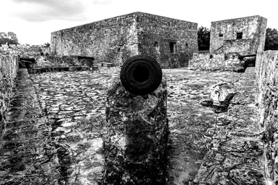 Monochrome Cannon (150245909)
