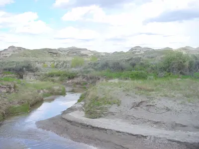 Dinosaur Provincial Park - panoramio (4)