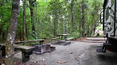 Campsite Village Creek State Park Texas 2023