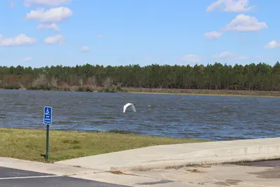 Heron in flight 3 at Lake Patrick, Paradise PFA