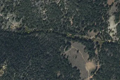 Slash Piles