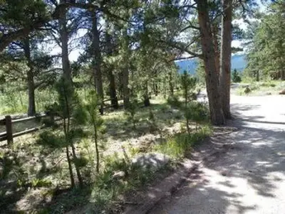 Olive ridge1