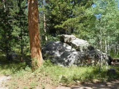 Olive ridge5