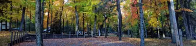 Leech Lake Recreation Area Campground Fall Campsite