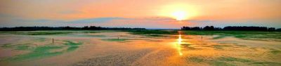 Leech Lake Rec Area