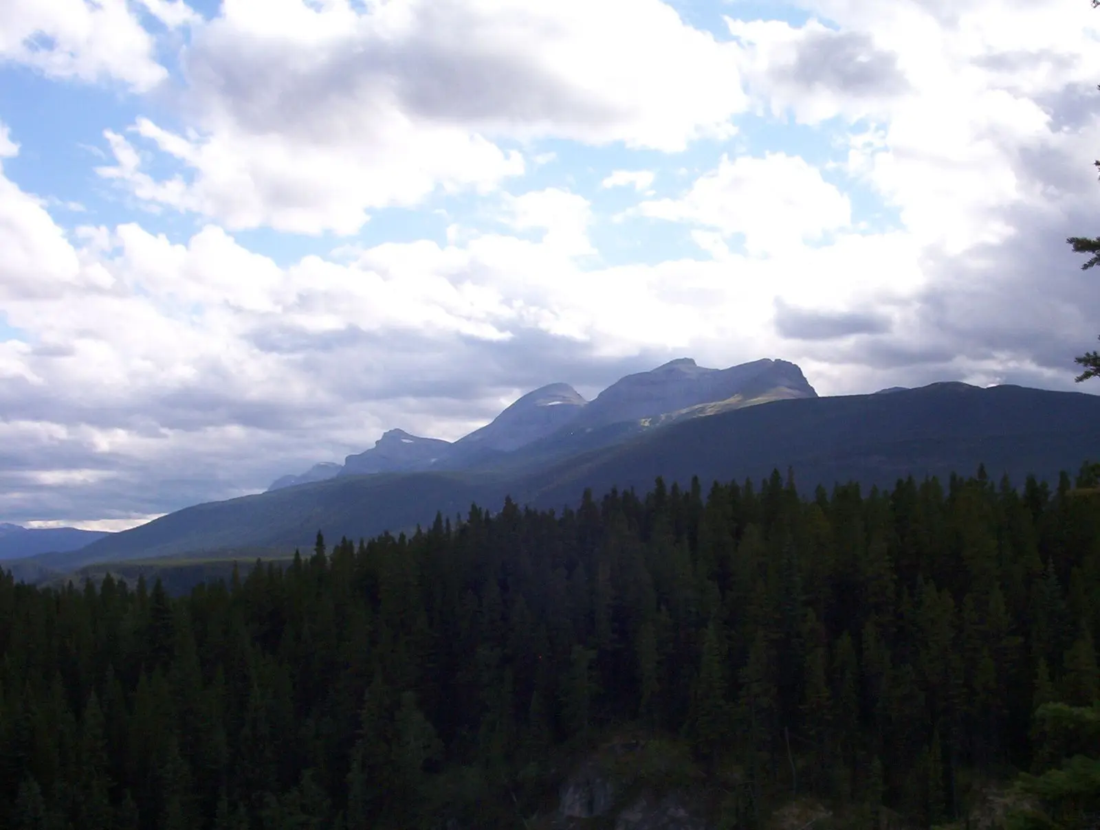 Photo of Monkman Park