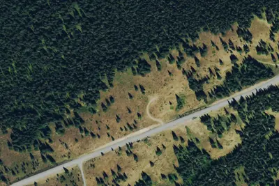 Camp site